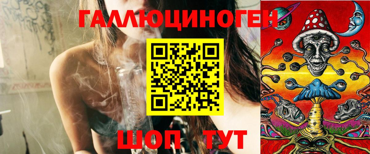Псилоцибиновые грибы Psilocybe Славянск-на-Кубани